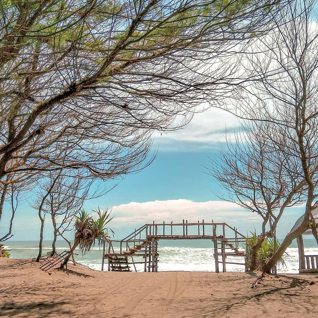 Lokasi dan Tiket Pantai Cemara Sewu Wisata di Jogja Dekat
